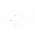 Amara Falafel veganes Catering mit Falafel Bowls und orientalischer Küche