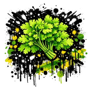 Frische Kräuter wie Petersilie und Koriander für authentische Falafel