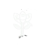 Falafel Bowl Fertigmischung mit Kichererbsen-Falafel und Tahini Sauce als Catering– Amara Falafel Berlin