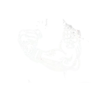 Falafel Bowl Fertigmischung mit Kichererbsen-Falafel und Tahini Sauce als Catering– Amara Falafel Berlin