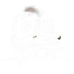 Falafel Bowl Fertigmischung mit Kichererbsen-Falafel und Tahini Sauce als Catering– Amara Falafel Berlin